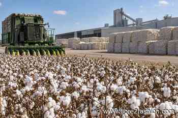 ICE cotton plunges as weak demand, harvest pressure weigh