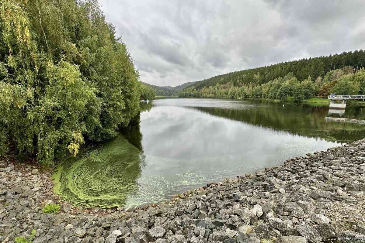 Gesundheitsamt im Vogtland warnt: Nicht in dieser Talsperre baden