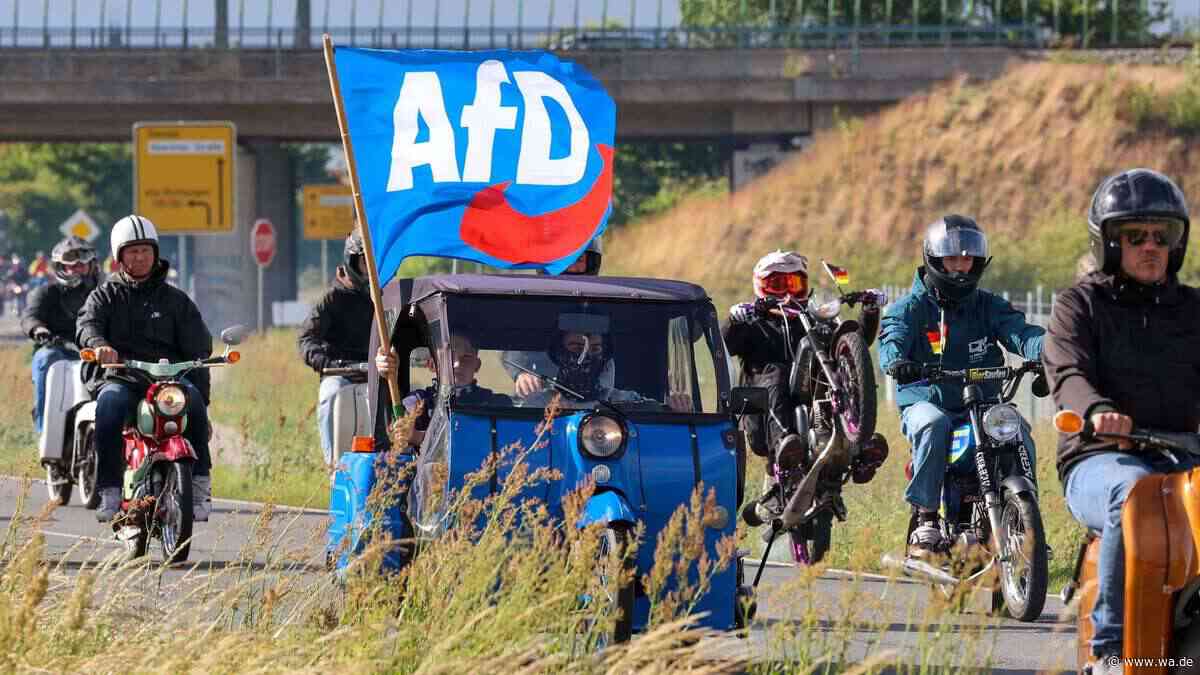 Extremismus-Experte warnt: „Am Ende gewinnt immer die AfD"