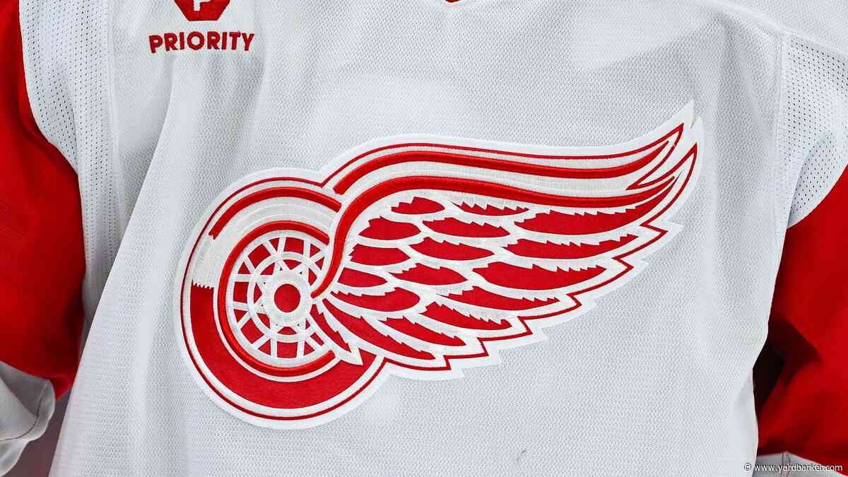5 Takeaways From the Red Wings Prospect Game