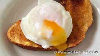 Cook the perfect poached egg in just 3 minutes with clever method — no boiling or vinegar
