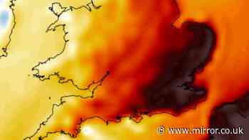 UK weather maps show 30C heat surge with 10 counties at 28C or more – full list