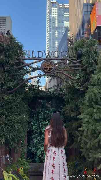 Wildwood has taken over #TimesSquare! 🌳✨ @LAI@LAIKAStudiosldWood #LaikaStudio #NYC