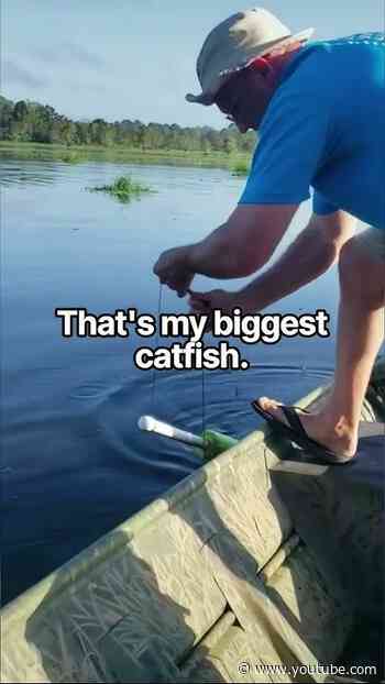 Catching a giant catfish