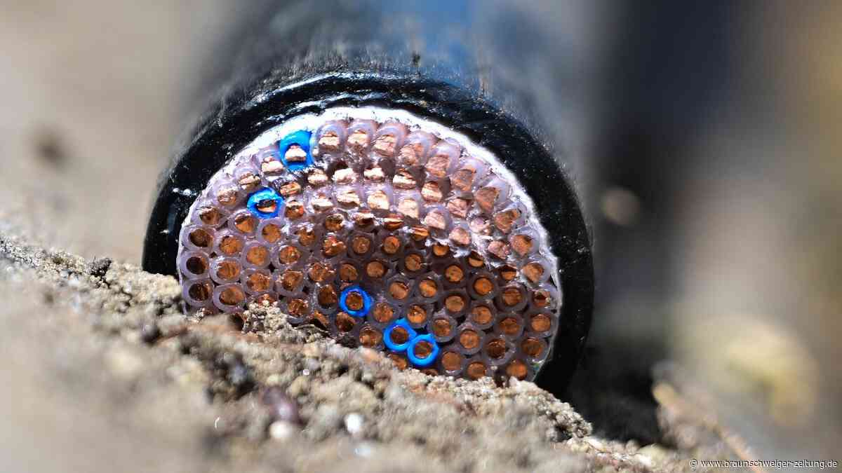 Über 70.000 Euro Schaden: Unbekannte stehlen hunderte Meter Kabel bei Ringelheim