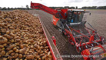 Oude oogst laat fabriek nog lang verstoppertje spelen