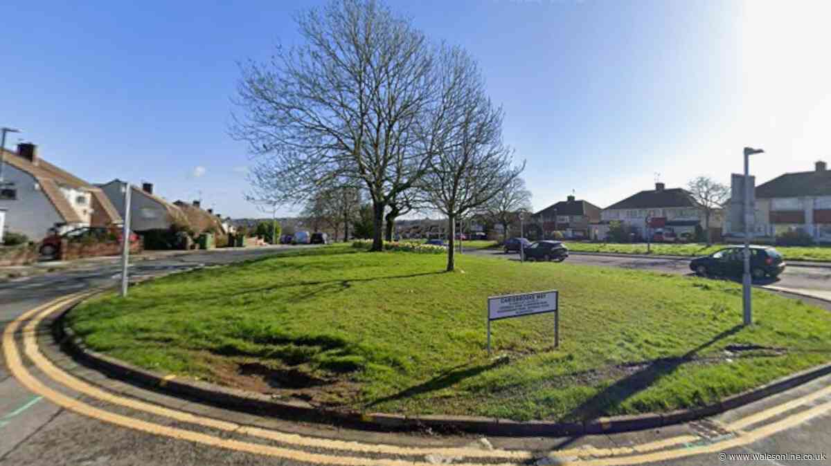 New radio mast planned for Cardiff suburb and some people aren't happy