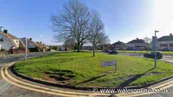 New radio mast planned for Cardiff suburb and some people aren't happy