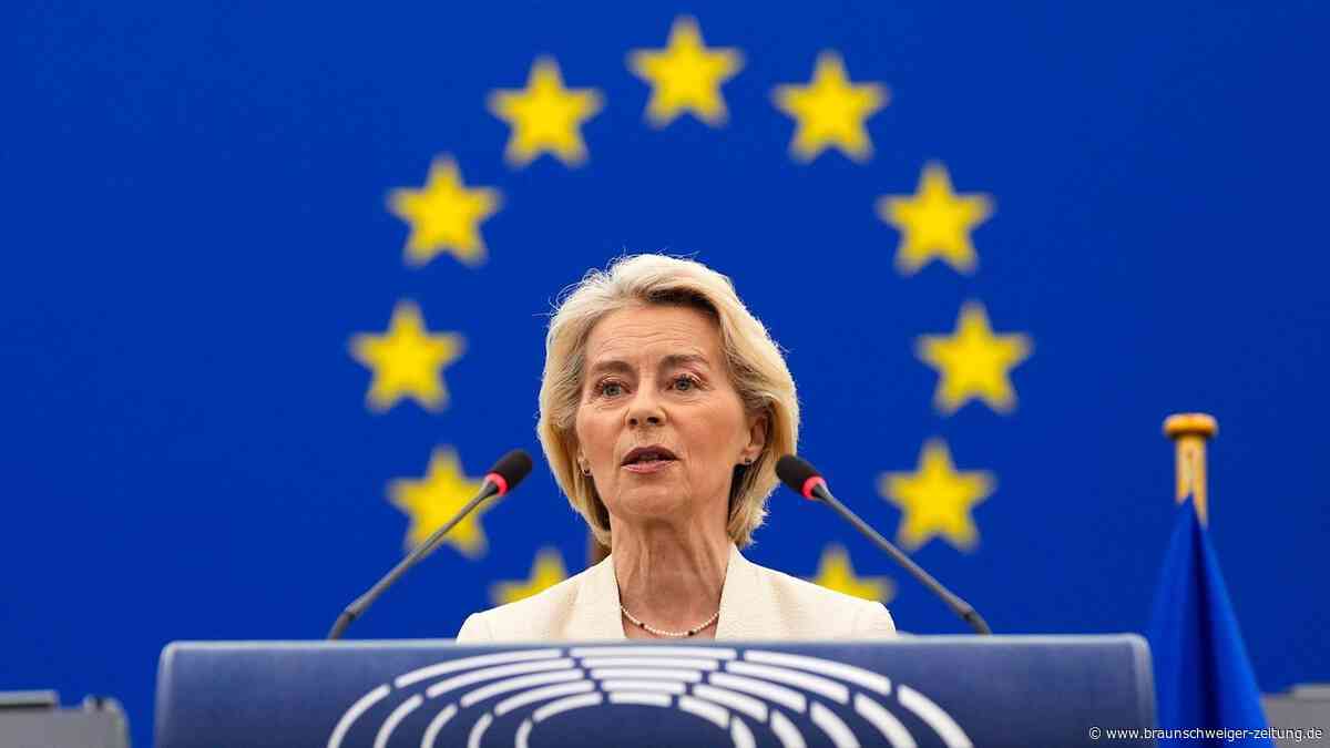 Ukraine-Hilfen: EU überweist Milliardenpaket für bestimmte Waffentypen