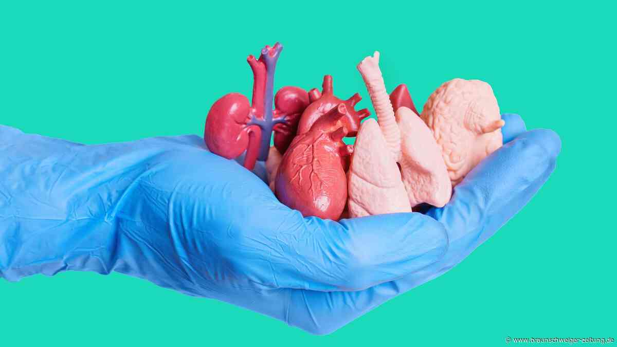 Organspende-Koordinator: „Manchmal heult die komplette Intensivstation“