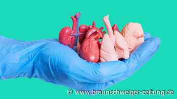 Organspende-Koordinator: „Manchmal heult die komplette Intensivstation“