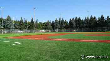 1st fully-accessible baseball diamond to re-open in Cambridge