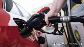 Diesel prices 'likely' to hit all-time high next week says RAC - as businesses issue warning