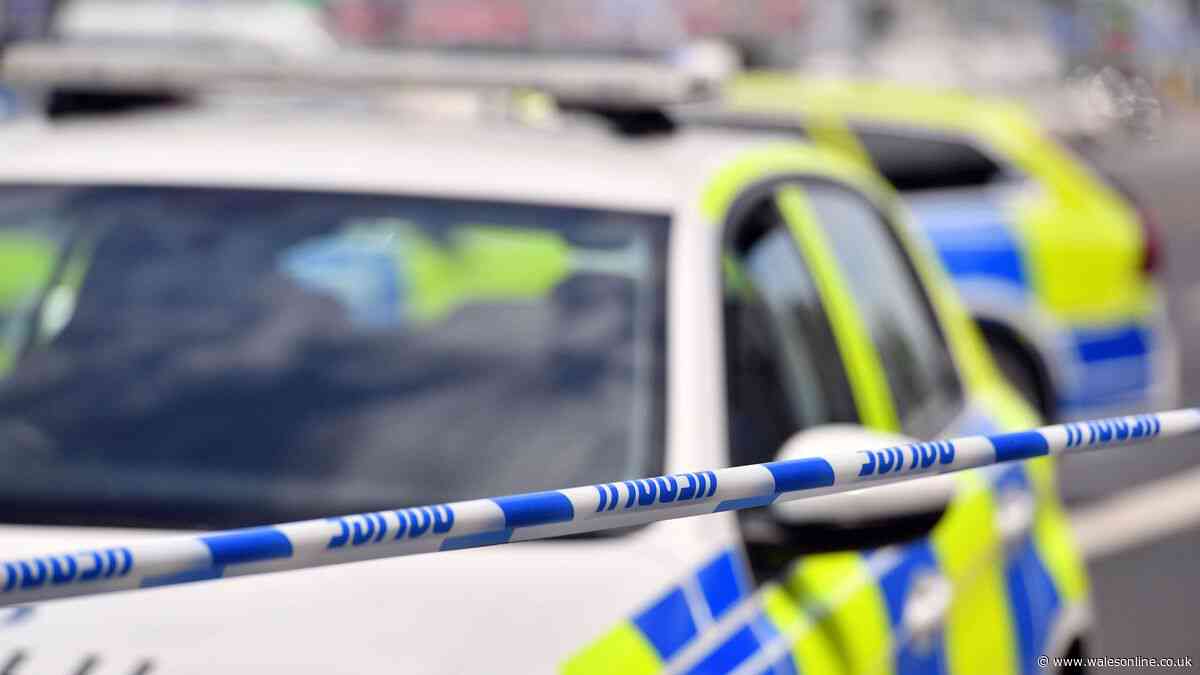 South Wales Police under-recorded rapes and too slow in responding to domestic violence calls, report warns