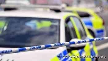 South Wales Police under-recorded rapes and too slow in responding to domestic violence calls, report warns