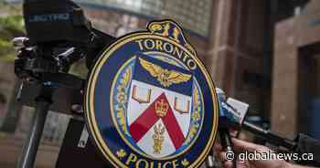 Toronto police seize 2 dogs over attack beside off-leash area