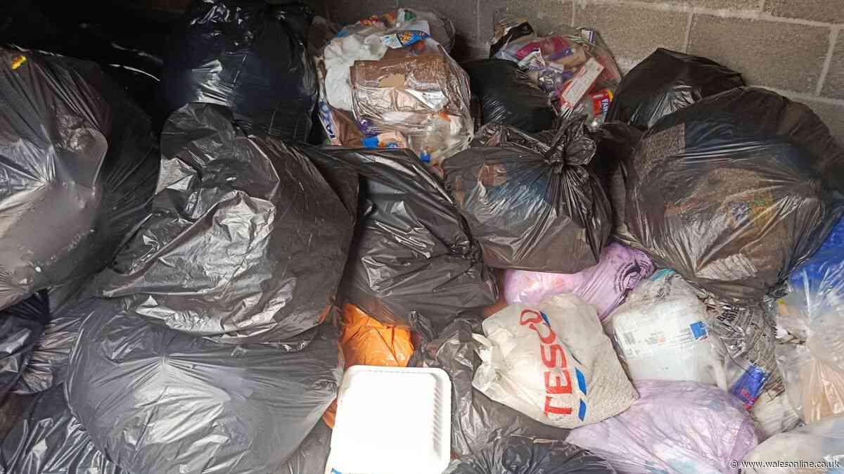 Rubbish piles up and flies in people's homes in Treforest with residents unhappy