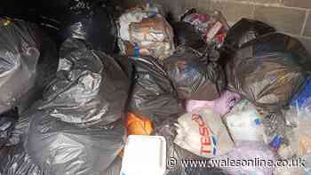 Rubbish piles up and flies in people's homes in Treforest with residents unhappy