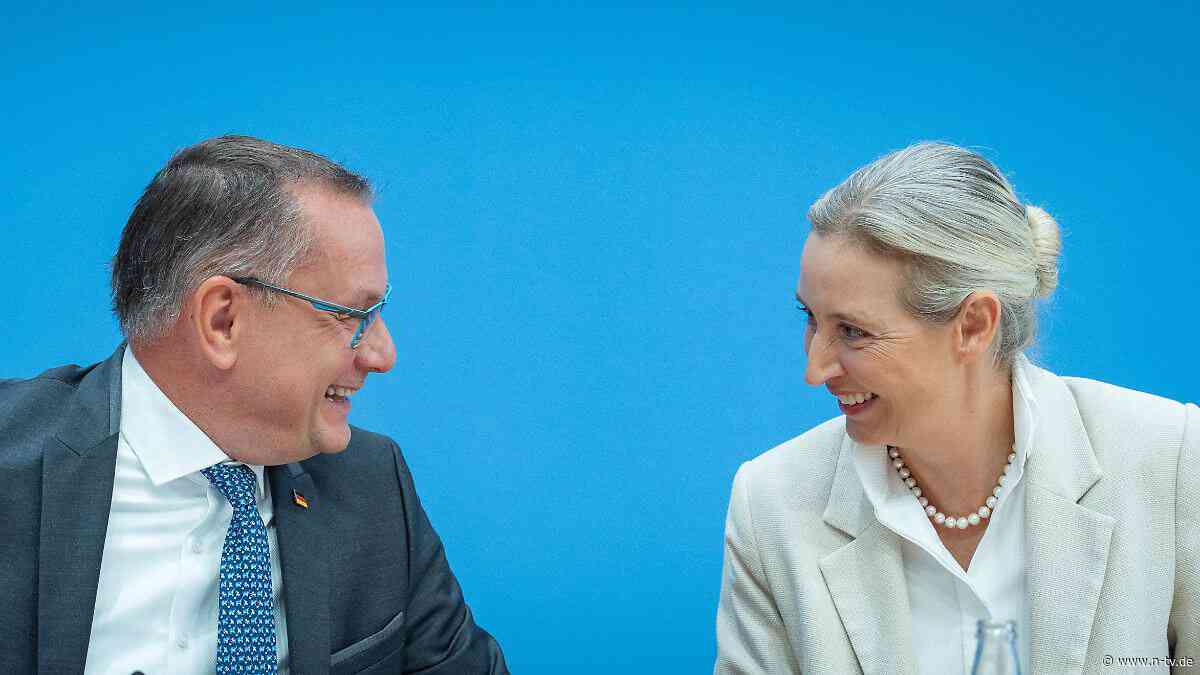 "Das wäre Verrat": AfD-Spitze will wohl mit Putin-Berater über Gas-Geschäfte reden