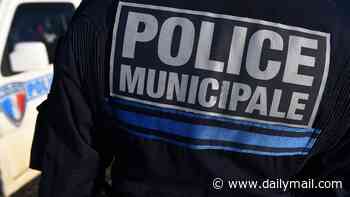 Boy, seven, fatally stabs his aunt in the neck after hearing her argue with his mother about hair straighteners