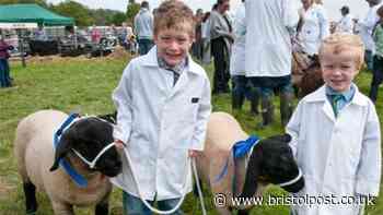 North Somerset Show leaves 20-year home for site near Bristol Airport after land sale