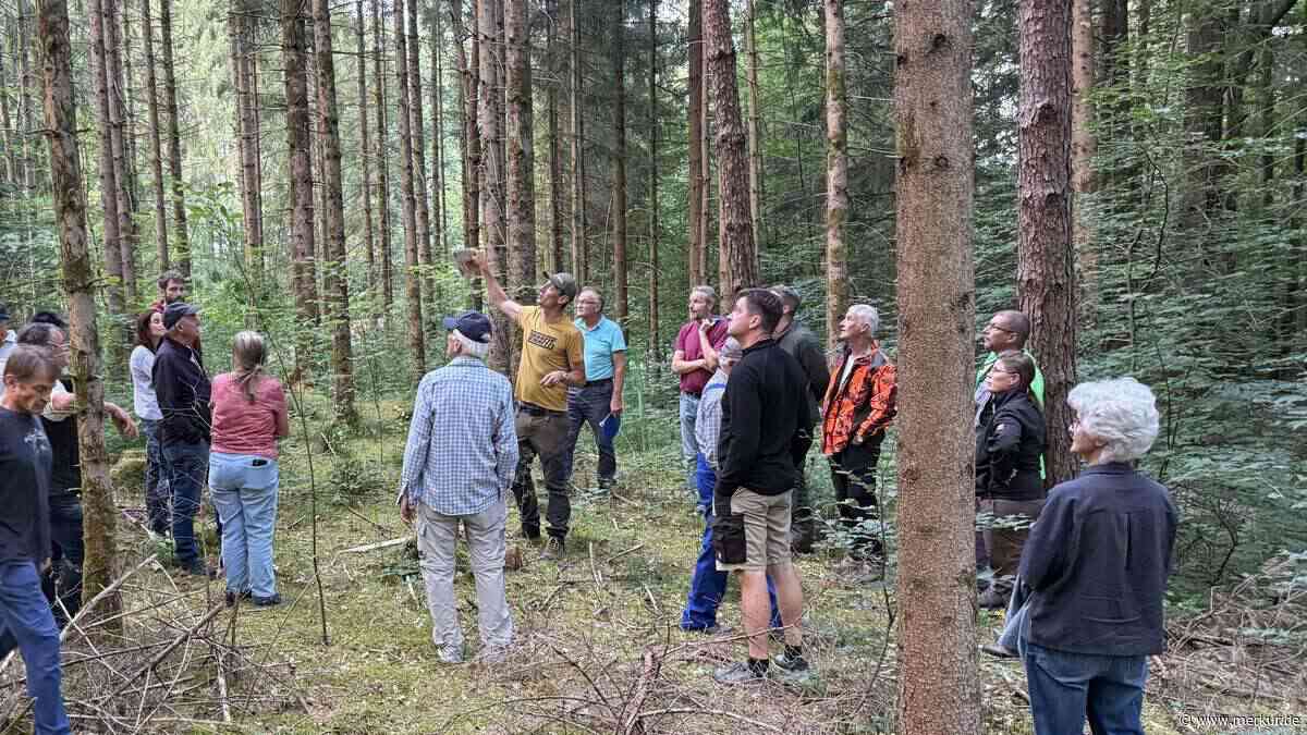 So macht man seinen Wald fit für die Zukunft: Lehrreicher Spaziergang in Iffeldorf über Naturverjüngung und Sortenwahl