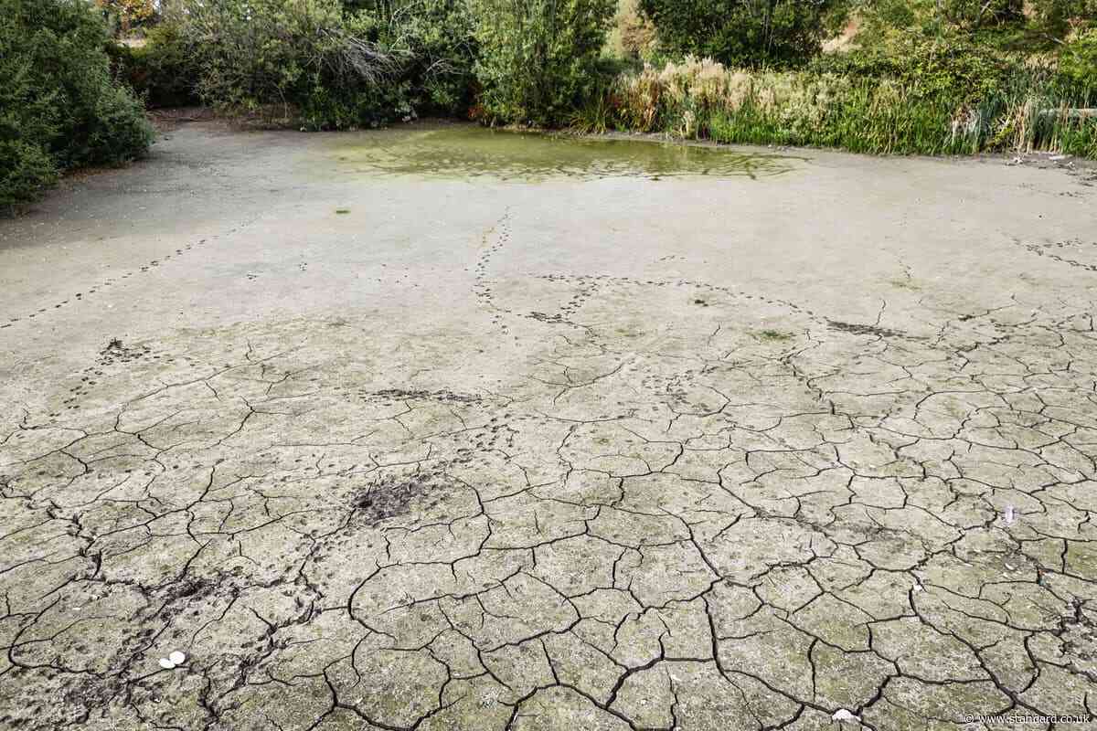 ‘Nine in 10’ adults cut back on water use as drought continues