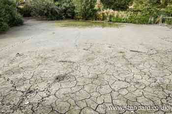 ‘Nine in 10’ adults cut back on water use as drought continues
