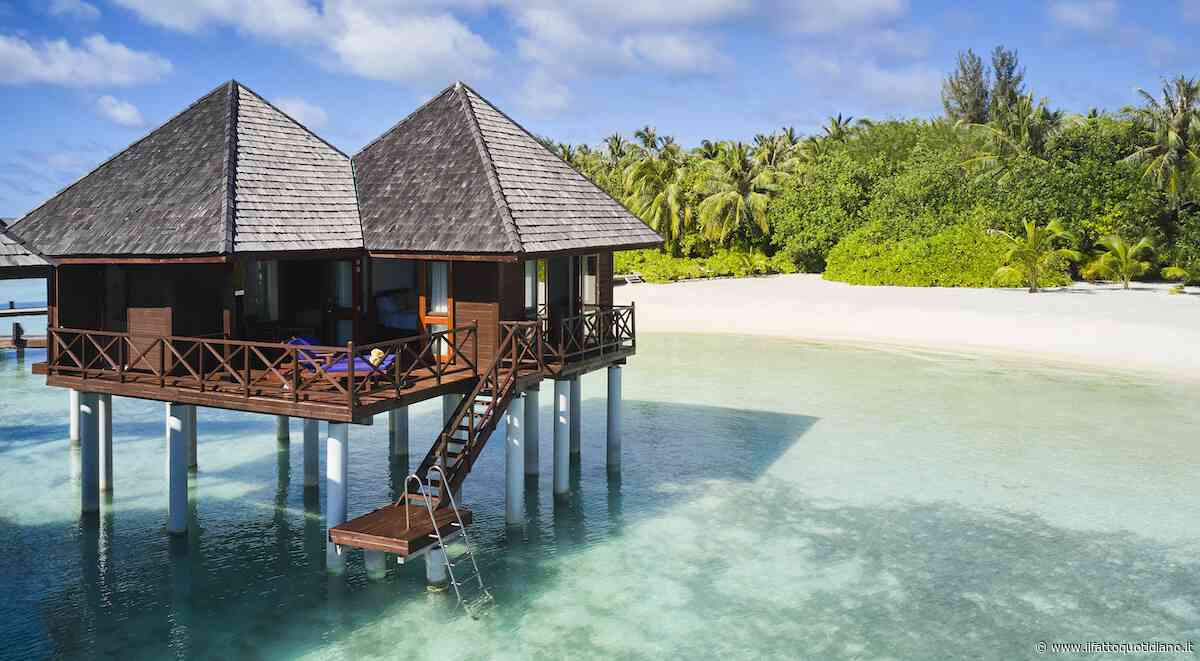 Maldive in bassa stagione, perché l’autunno é il momento giusto per partire: dal “mare stellato” da ammirare di notte alle mante, cosa vedere tra settembre e novembre