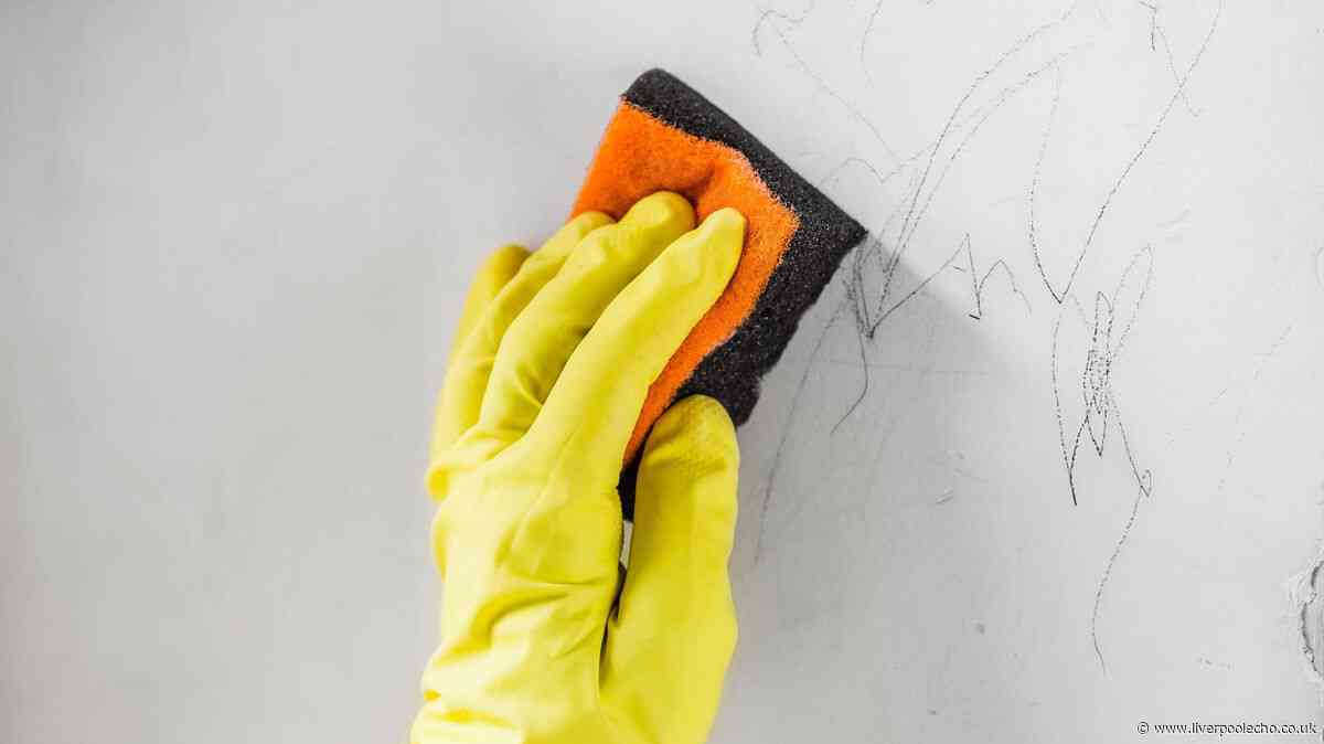 Remove pesky stains from white walls with common item most people already own