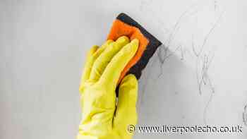 Remove pesky stains from white walls with common item most people already own