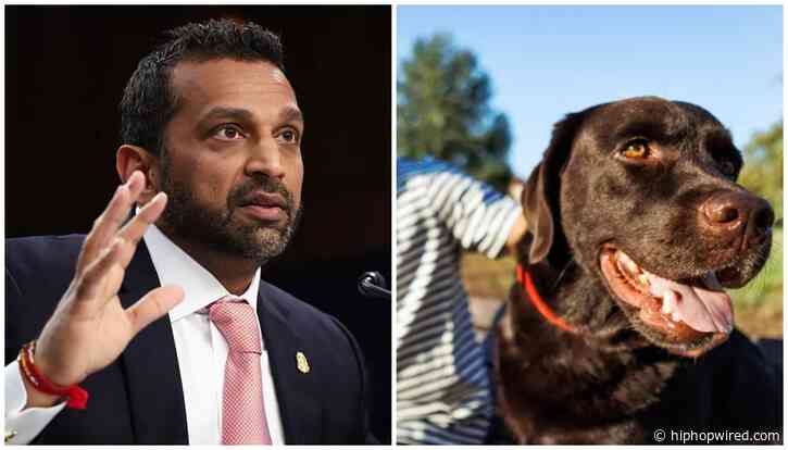Bestiality No Longer Disqualifying In Kash Patel’s FBI, Social Media & Sen. John Kennedy Are Confused
