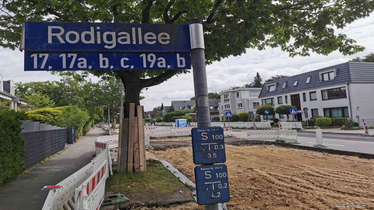 Initiative kämpft weiter gegen Umbau der Rodigallee – und prallt an Dressel ab