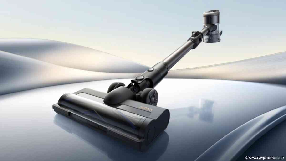 Easy to remove 'dog hair and lint from carpet' with £100 Dyson rival