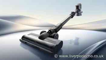 Easy to remove 'dog hair and lint from carpet' with £100 Dyson rival
