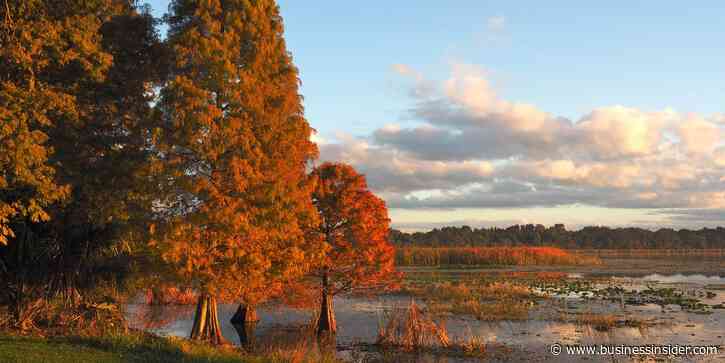 I've lived in Florida for 25 years. Here's why I think fall is the best time to visit.