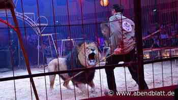 „Wildtiere gehören nicht in den Zirkus“: Nun gibt es einen Verbotsantrag