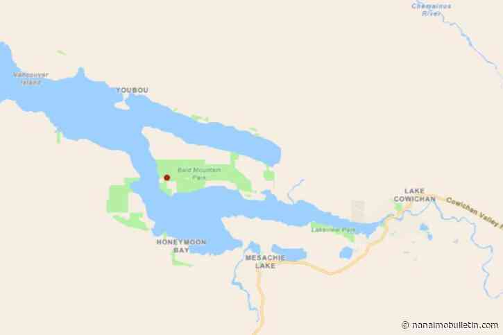 Firefighters tackling wildfire near Cowichan Lake