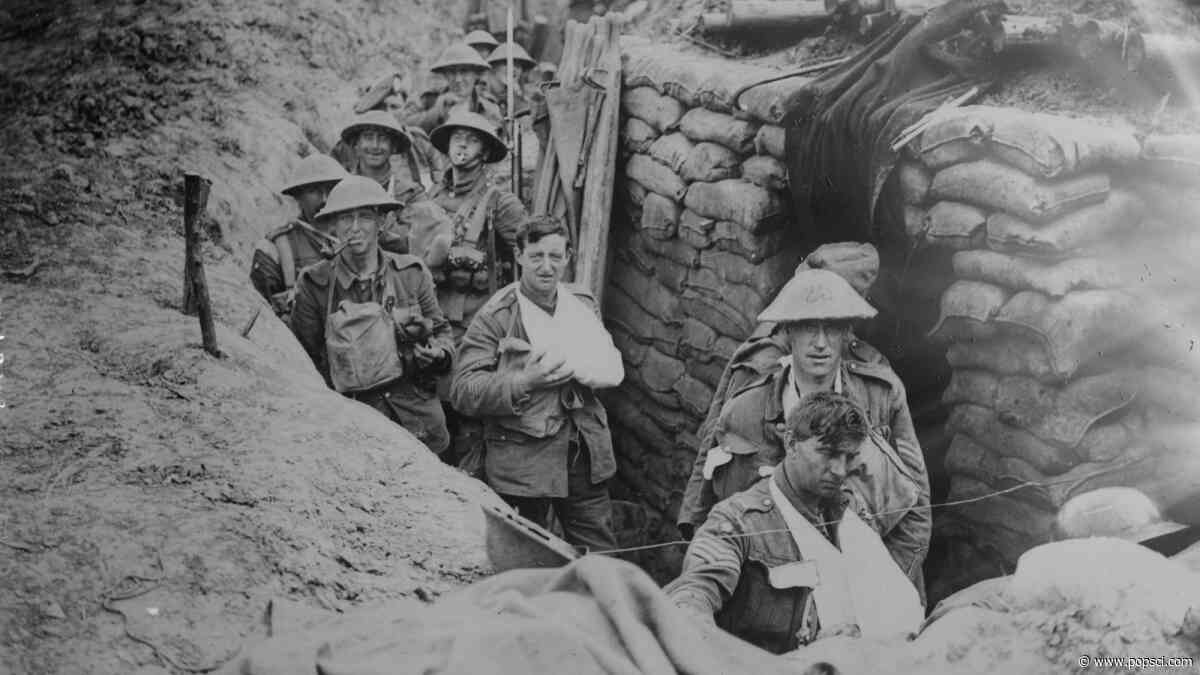 Lost WWI trench lives on in immersive VR installation