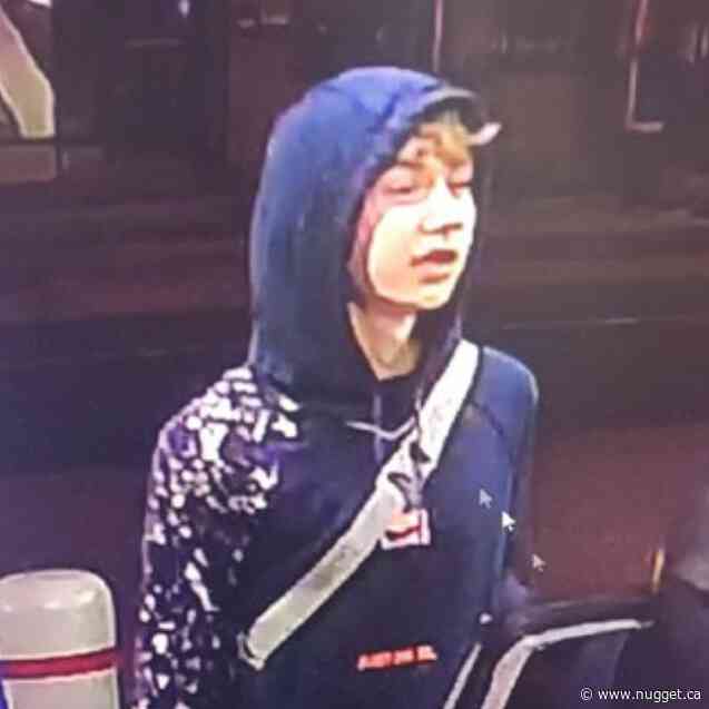 North Bay Police seeking "armed and dangerous" suspect following carjacking