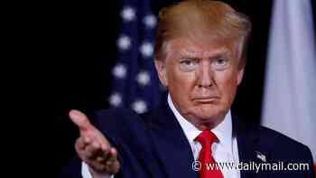 Trump's new restrictive green card policy starts TODAY as immigrants brace for applications to be denied