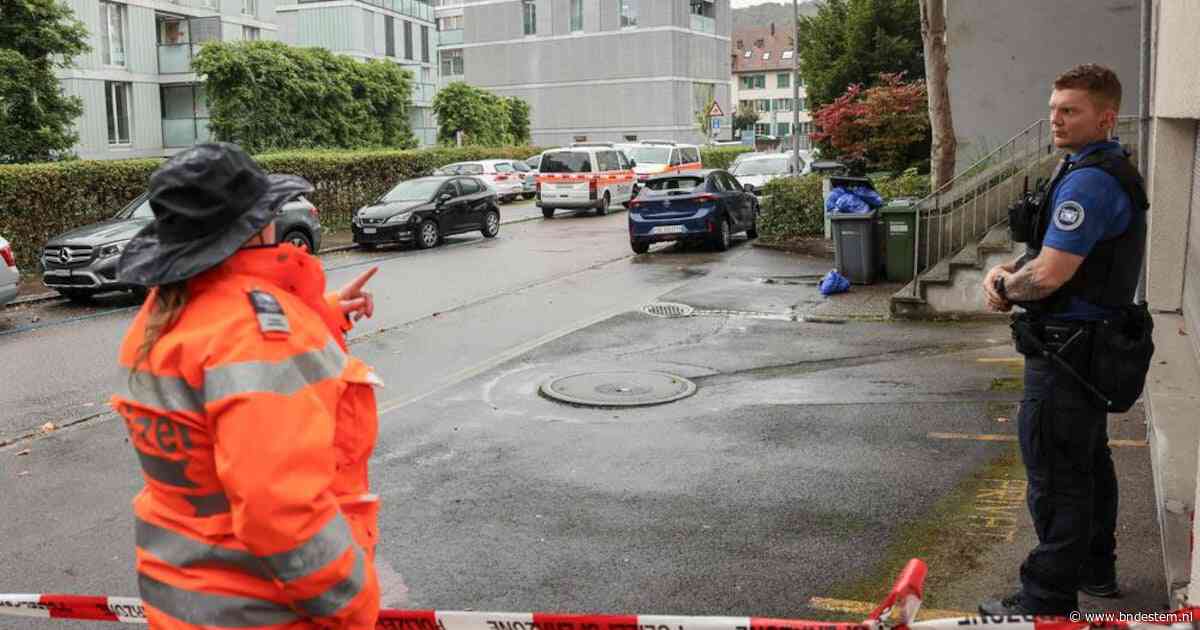 Rechtbank veroordeelt man tot 15 jaar cel na steekpartij op drie 5-jarige kinderen in Zürich