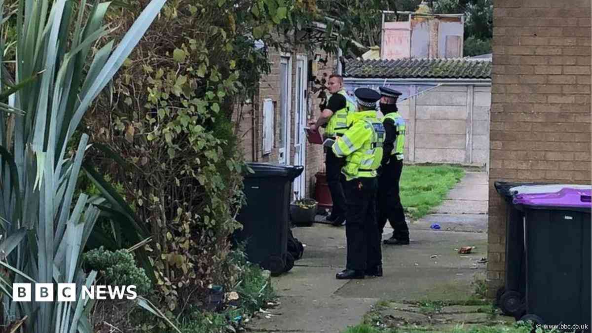 Woman detained indefinitely for stabbing two boys