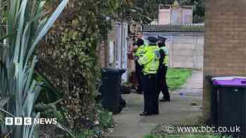 Woman detained indefinitely for stabbing two boys
