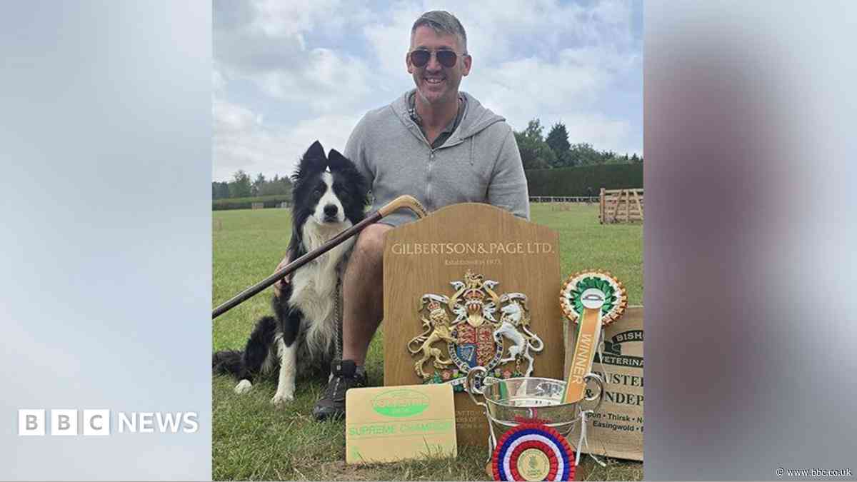 Farmer and sheepdog hoping for world trial success