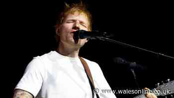 Pro-Palestine protests planned for Ed Sheeran concert as ticket prices drop