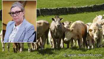 Could the SNP's eco zealots be coming for Scotland's cows?