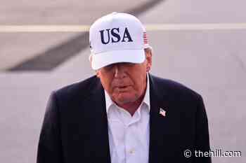 43 percent say Trump responsible for current state of economy: Survey 
