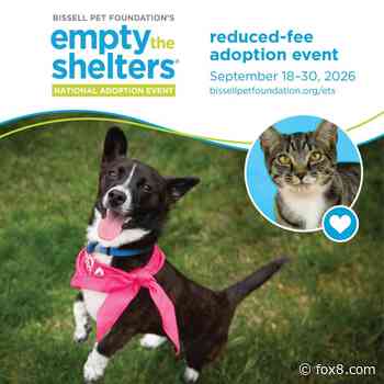 Here's how you can help empty Cleveland-area animal shelters