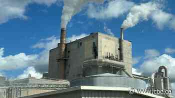 Nackawic mill worker, local residents want to see mill continue on